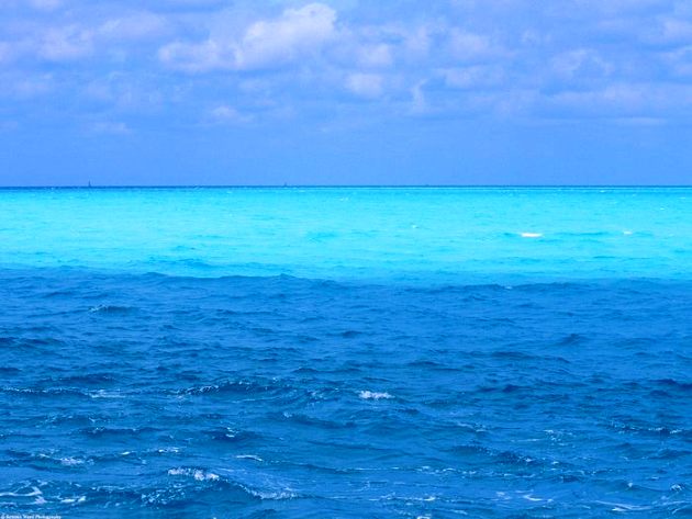 Почему вода в океане соленая?